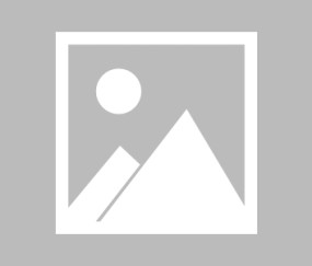 金年会金字招牌信誉至上女子4x200米自由泳接力决赛：浙江队夺冠，河北队亚军、广东季军